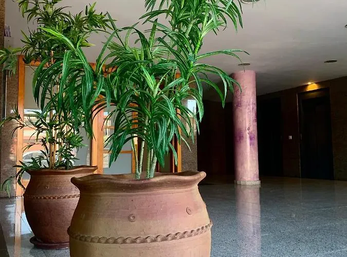 Cozy & Bright 2Br With Balcony, Pool & Garden View- Fenals شقة