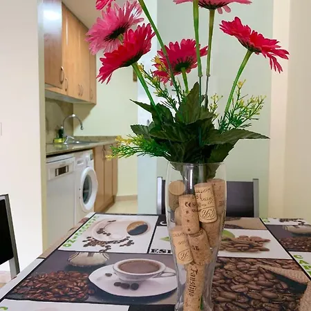 Apartament Santa Cristina *